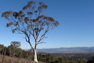 Isaacs Ridge, Canberra