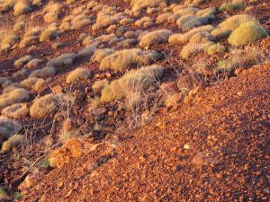 Pilbara landscape, Newman, WA